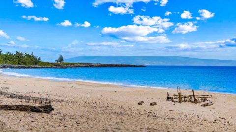 D.T. Fleming Beach: One of West Maui’s Best Beaches