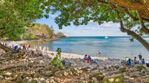 Honolua Bay & Beach:  Surf, Snorkel, or Scuba