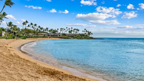 Napili Bay:  One of Maui’s Best Beaches for Families