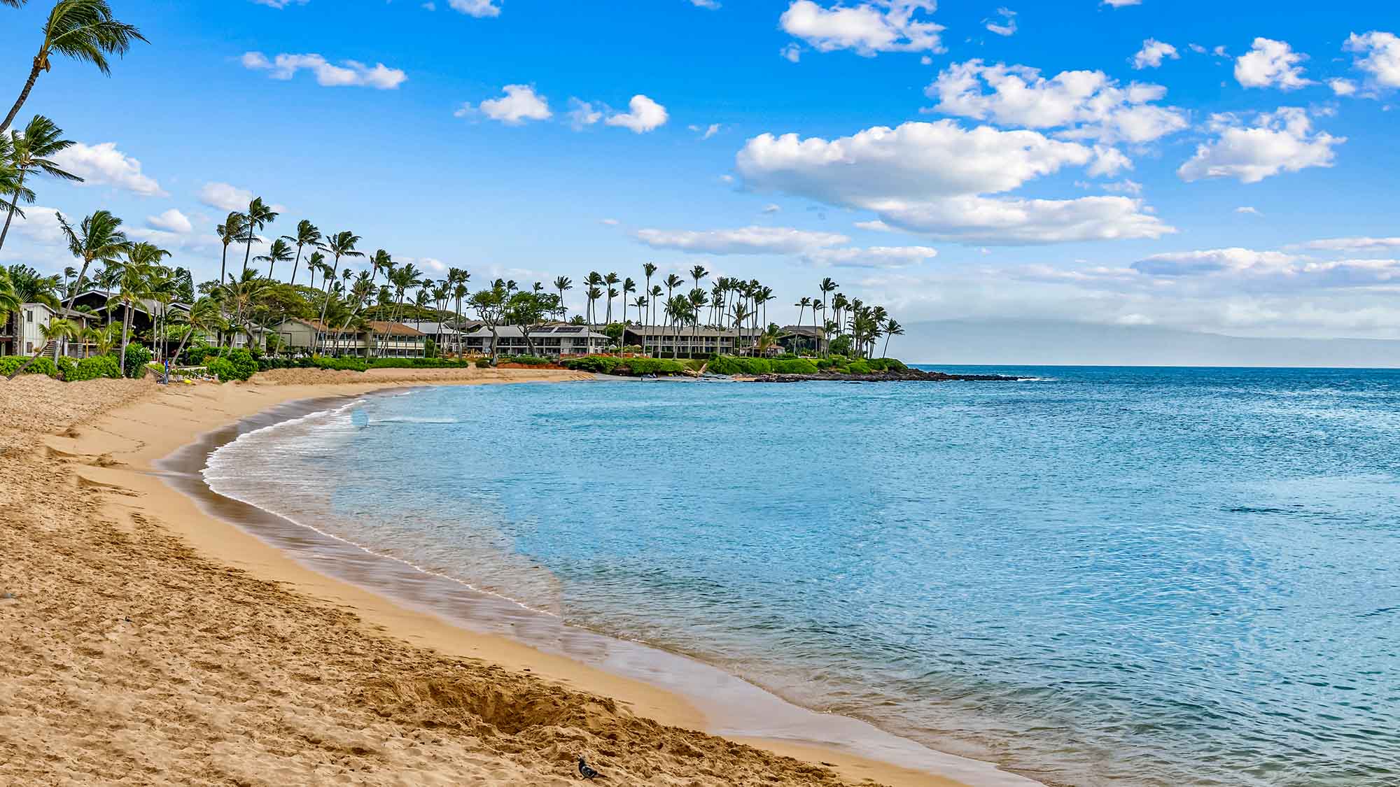 Napili Beach & Bay - Parrish Maui