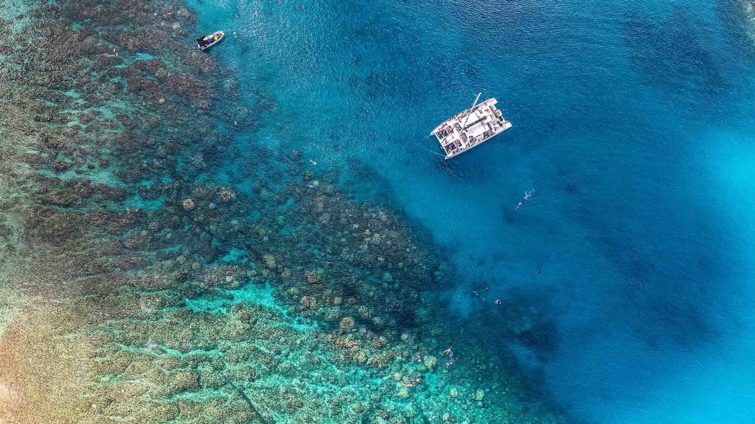 Sunscreen That Protects Hawaii Coral Reefs Kapalua Vacation Rentals