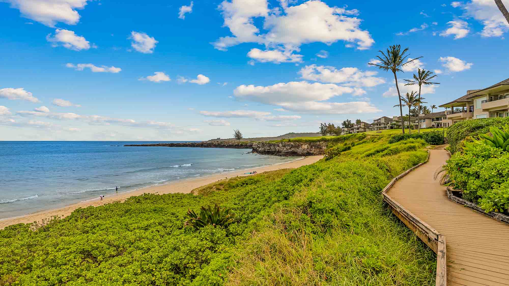 Search Properties - Parrish Maui