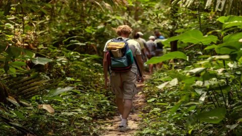 Hikers trekking Mahana Ridge Trail in Maui