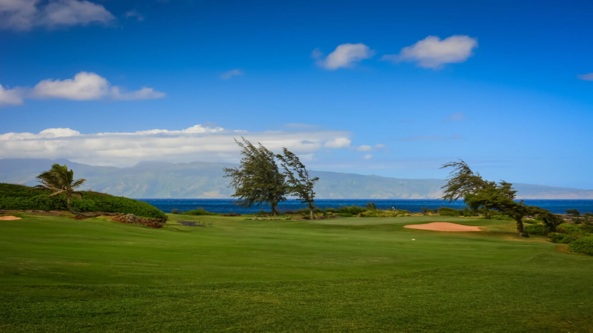 Watch Star Golfers at the Sentry Tournament of Champions 2023