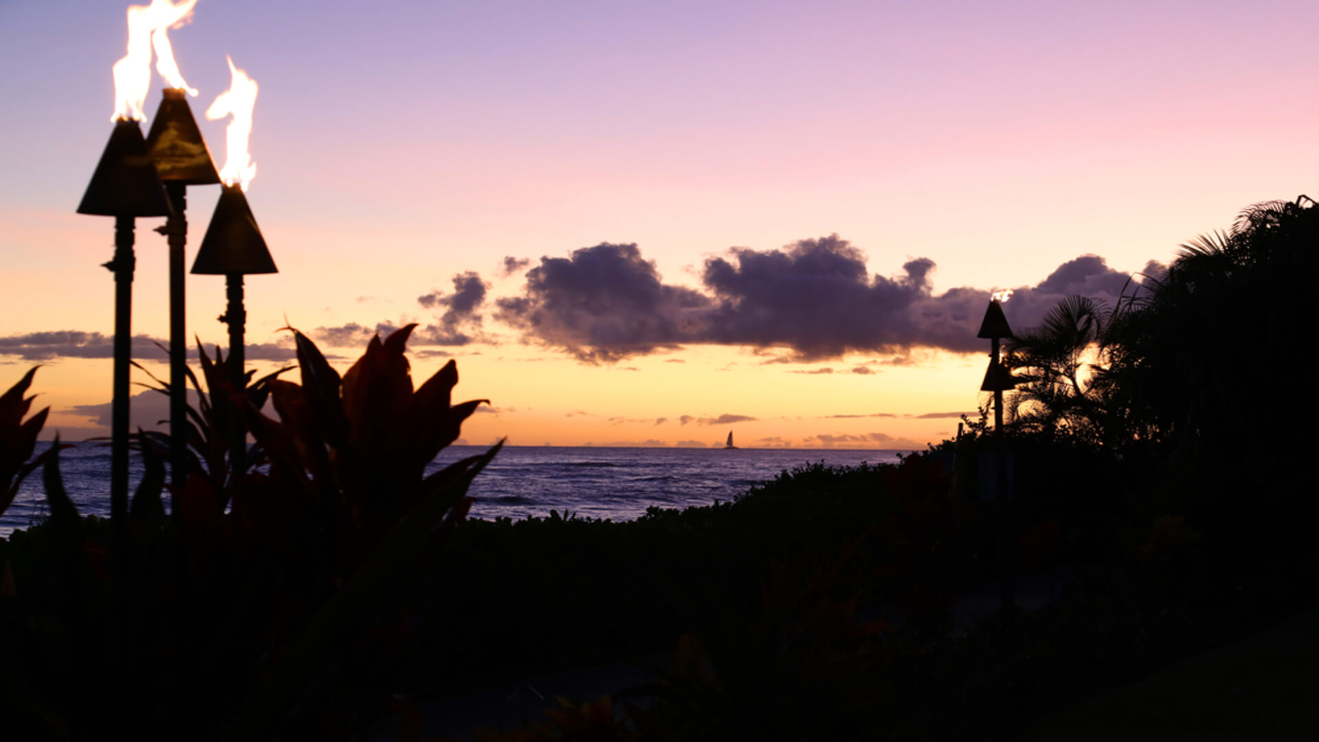 Tiki torches and the ocean, the backdrop of a luau in Kapalua, Maui