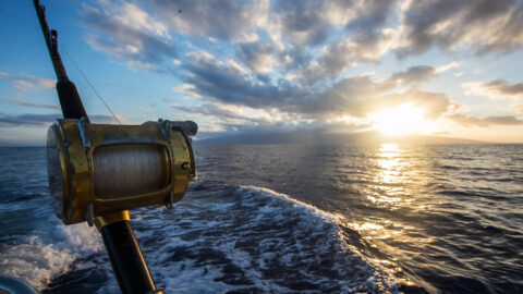 A fishing pole and the ocean on a Maui fishing charter