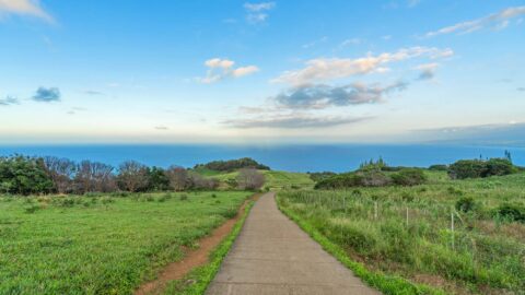 Discover the Enchanting Beauty of the Waihee Ridge Trail