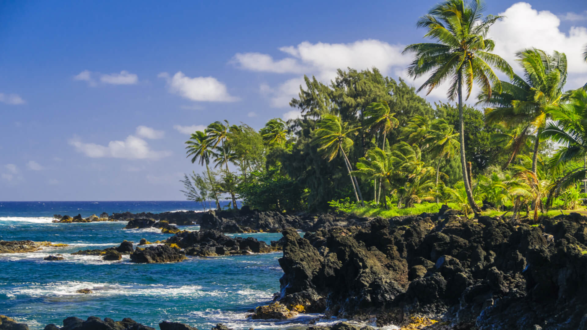 A beautiful picture of the Maui coastline
