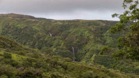 A view from the Makamakaole Stream hike on Maui