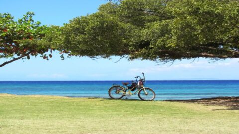 A picture of a bike next to the ocean after biking in Maui