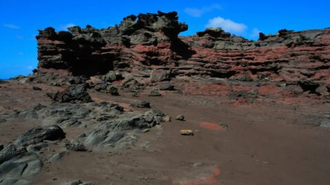 A view of the lava terrain at the Acid War Zone Trail