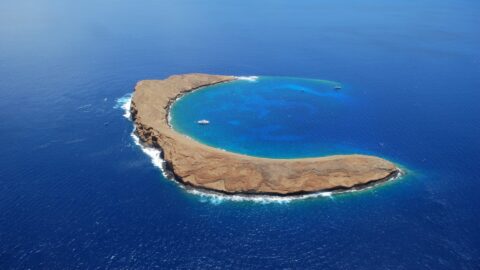 An aerial view of Molokini Crater and the boats and snorkeling