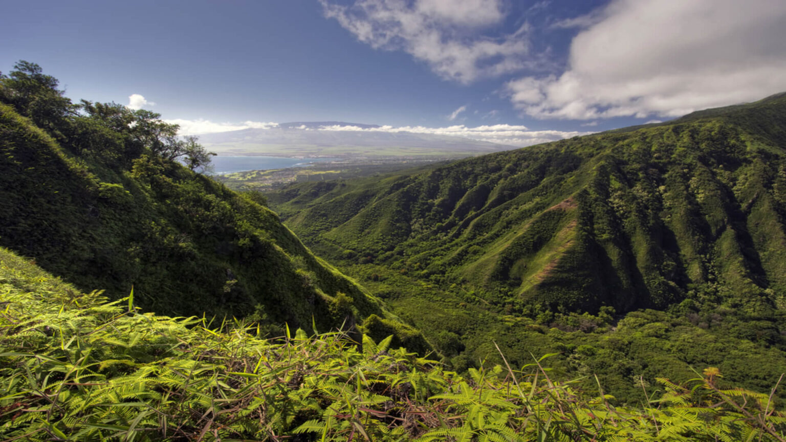 Maui tsunami kihei