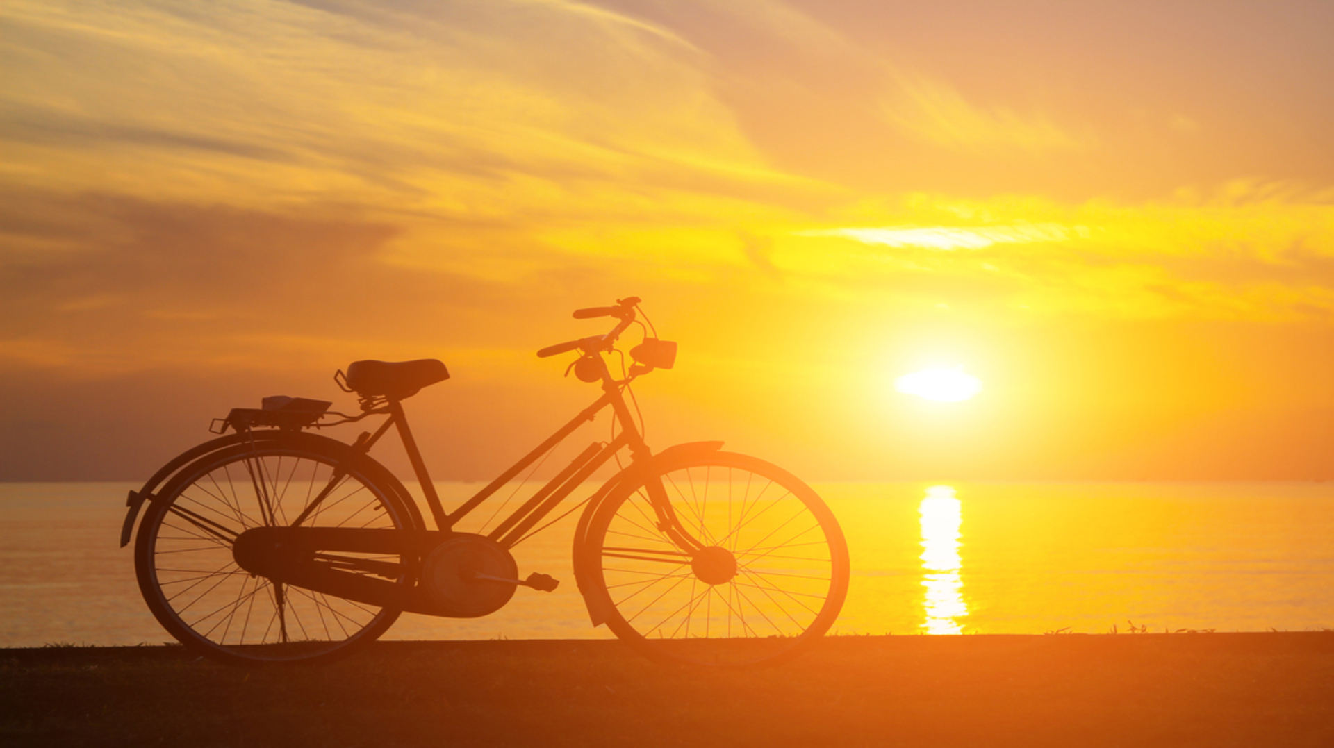 Silhouette,Of,Bicycle,In,The,Morning,At,The,Beach,Waiting