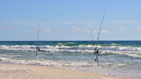 Two fishing poles on a beach in Maui