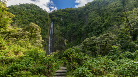 A waterfall hike located off the Road to Hana in Maui