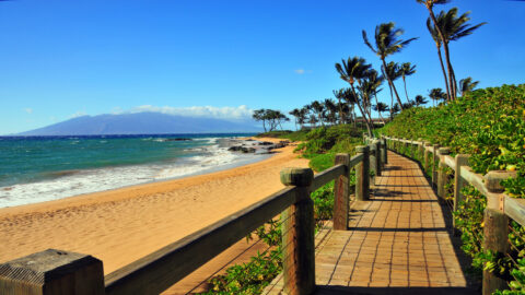 Wailea Beach Path running along the Maui coast near a golden beach
