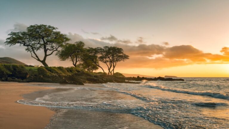 Maluaka Beach at sunset with trees and ocean