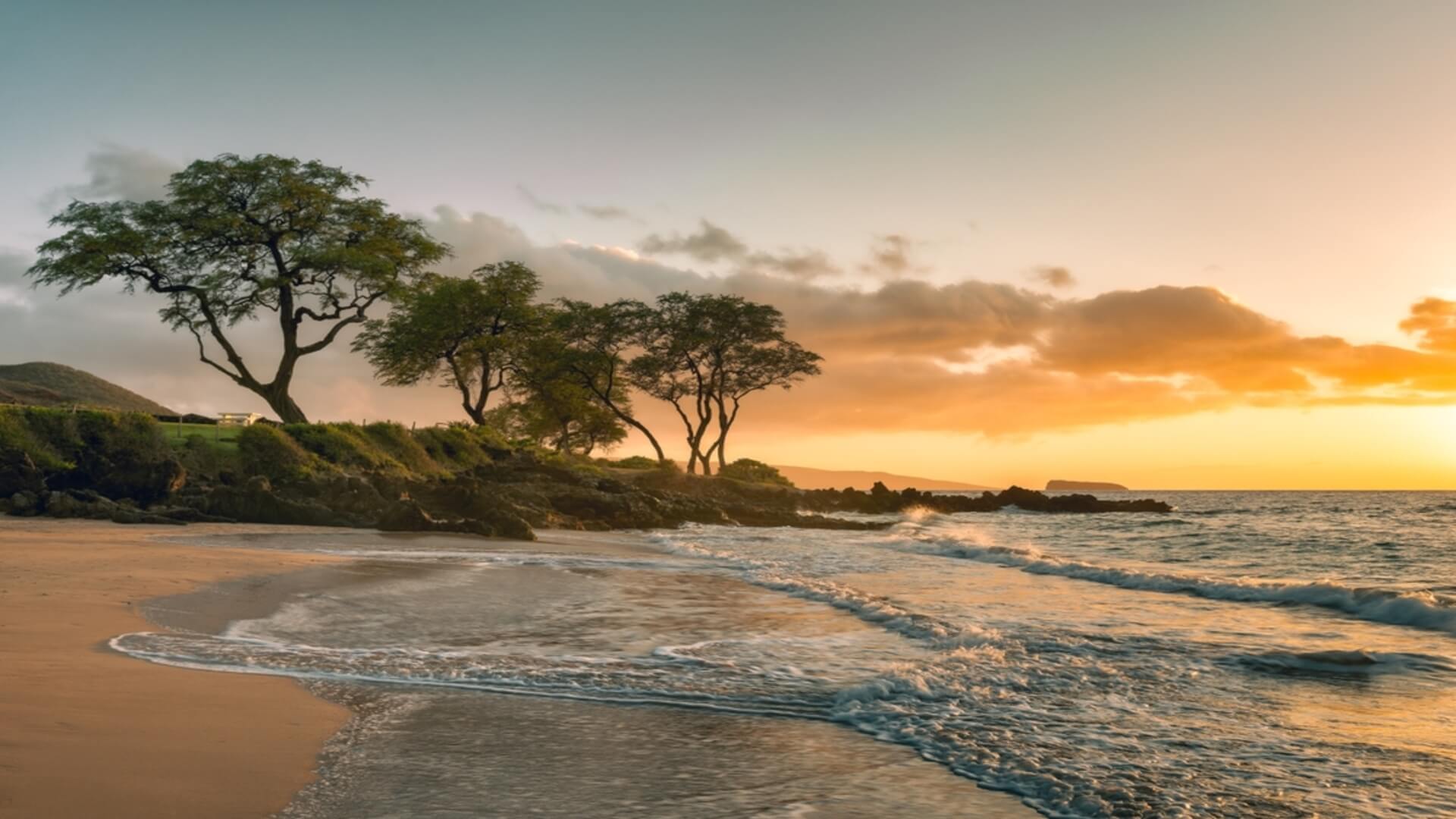 Maluaka Beach at sunset with trees and ocean