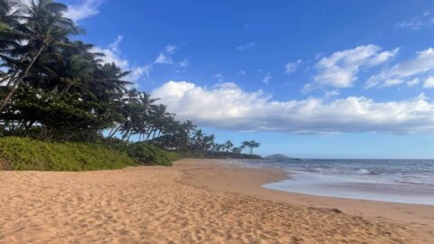 The golden sands and lush greenery of Keawakapu Beach on Maui