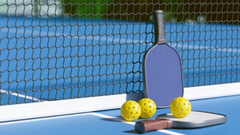 Two pickleball paddles and three pickleballs leaning next to a net on an outdoor pickleball court in Maui