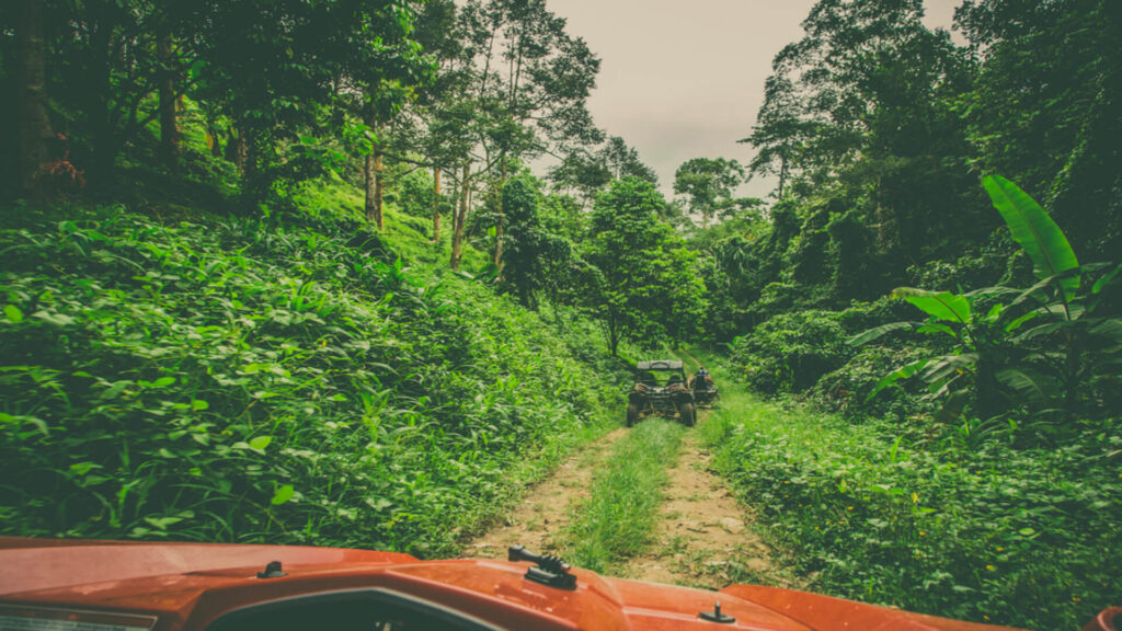 View from an ATV driving through Maui's lush forests