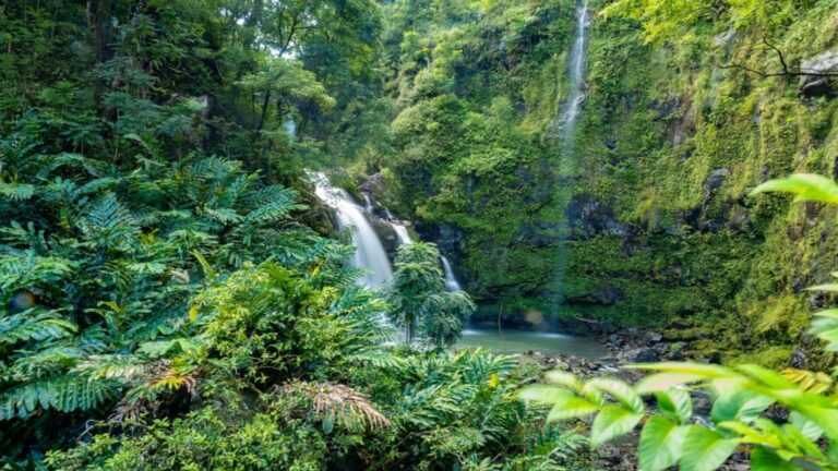 A waterfall set amid a lush rainforest setting in Maui