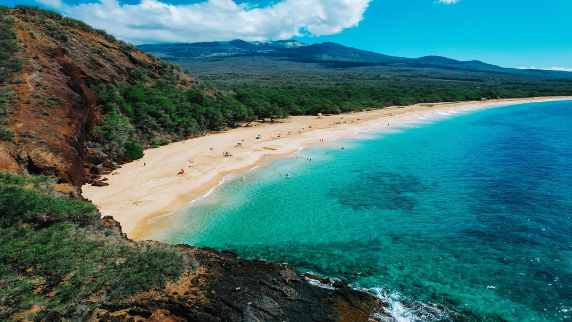 A sunny weather day on Maui overlooking a beach